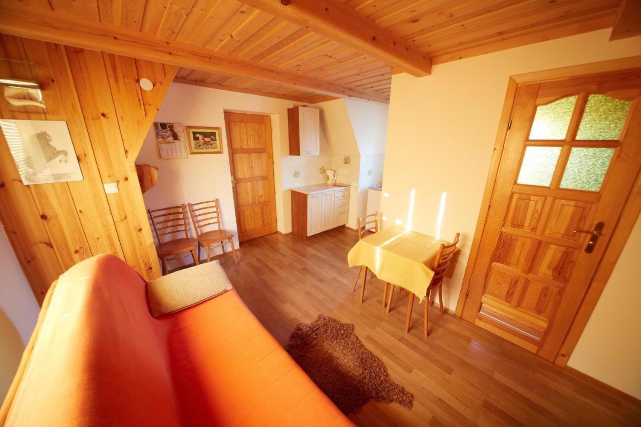 Apartmán Siklawa Zakopane Pokoj fotografie